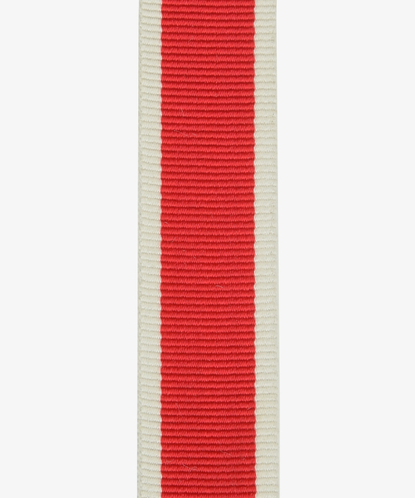 Deutsches Reich, Ehrenzeichen des Deutschen Roten Kreuzes, Ehrenzeichen für Deutsche Volkspflege, Miniatur (366)